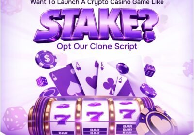 Stake-Clone-Script-2