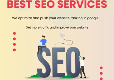 We-optimize-and-push-your-website-ranking-in-google