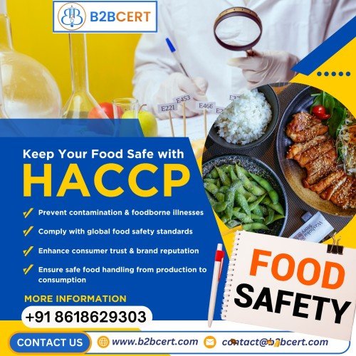 HACCP Certification in Mumbai